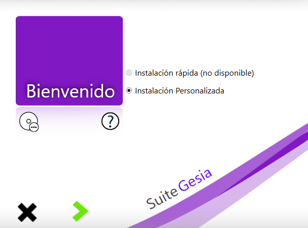 Pantalla de GesiUpdate en modo demostración, con la instalación personalizada como única opción disponible.